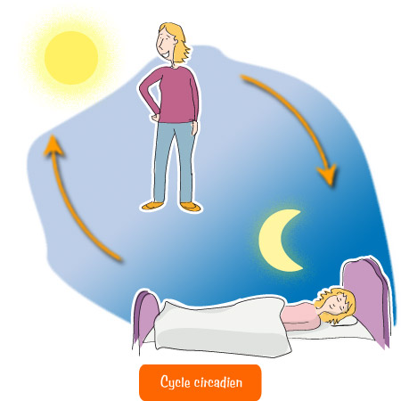 Lombalgie - Intérêt du sommeil