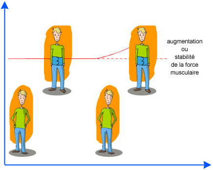 Augmentation ou stabilité de la force musculaire