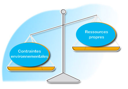 Banlance ressources propres et contraintes environnementales