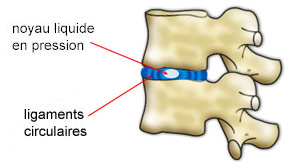 Disque intervertébral