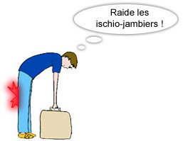 Les muscles ischio-jambiers sont raides