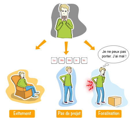 3 types de comportements