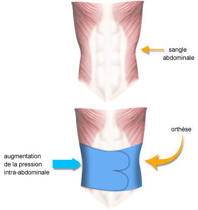 Ceinture abdominale-lombaire ajustable Arquer