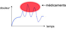 Rôle des médicaments